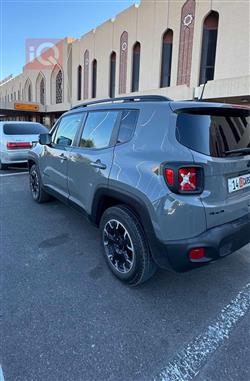 جيب رينيجيد